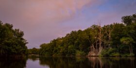 Plácido atardecer en los majestuosos manglares de Mapastepec, Chiapas, casi en el corazón de la Reserva de la Biosfera "La Encrucijada". © Daniel Pineda Vera, 2020.