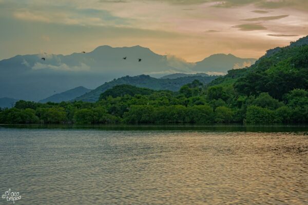 Hace muchísimos años, en las lejanas tierras de Oriente, hubo un rey llamado Shariar, amado por todos los habitantes de su reino. Sucedió sin embargo que un día, habiendo salido de cacería, regresó a su palacio antes de lo previsto...