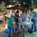 Con su beca, jóvenes crean granja agroecológica en Socoltenango 