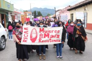 Ahora que empiezan a intensificarse las campañas brotan temas que de otra forma quedarían sepultados en la más absoluta indiferencia. El caso de Félix Salgado Macedonio a la gubernatura de Guerrero, es una de esas asignaturas pendientes de la joven democracia electoral mexicana