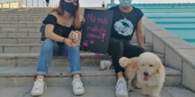 Ciudadanos y ciudadanas se presentaron junto a sus perros y perras para marchar en contra del maltrato animal Foto: Yessica Morales.