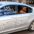 Crece crueldad | Maltrato animal causa indignación pero continúa sin castigarse