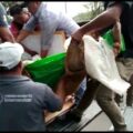 Rescatan a campesinos asesinados e intercambian rehenes tras días de disputa en Venustiano Carranza 
