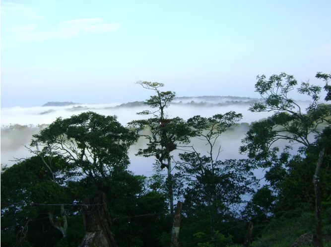 Hoy que están tan presentes las referencias a la colonialidad del poder y del saber, tal vez esas referencias a las estaciones del año en un clima tropical puedan entenderse desde esa lógica.