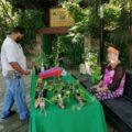 Puedes ganar una de las plantas de ornato. Cortesía: Dirección de Jardín Botánico "Dr. Faustino Miranda"