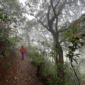 Reserva ecológica Laguna Bélgica, Chiapas/Foto: Ángeles Mariscal