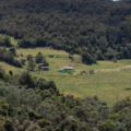 Deforestación en los bosques de Colombia. Foto: Fundación Natura.