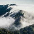La Reserva de la Biosfera El Triunfo protege a 10 tipos de vegetación, de los 19 con que cuenta Chiapas. Cortesía: Secretaría de Medio Ambiente y Recursos Naturales