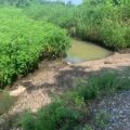 El Silencio es un Área Natural Protegida destinada voluntariamente a la conservación de la biodiversidad amparada en el artículo 46 de Ley General del Equilibrio Ecológico y la Protección al Ambiente. Cortesía: Alerta Chiapas