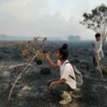 Convocan a reforestar «La Encrucijada» tras perder seis hectáreas por incendio Reserva La Encrucijada, tras el paso de un incendio.