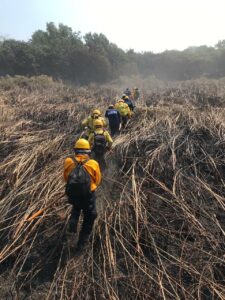 Después de los casi 15 mil incendios registrados en Chiapas en 1998, en donde se quemaron miles de hectáreas de El Ocote, de la Selva Lacandona, de El Triunfo y de Laguna de Montebello, se aprobó en 1999 una ley que prohíbe la quema en terrenos de cultivo.