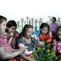 Convocan a mujeres indígenas, campesinas y afrodescendientes para compartir experiencias de sanación y cuidado colectivo Convocan a mujeres indígenas, campesinas y afrodescendientes para compartir experiencias de sanación y cuidado colectivo