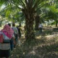 Las mujeres que se levantan en contra del monocultivo son perseguidas, denostadas y amenazadas de muerte. - Foto: Agua y Vida: Mujeres, Derechos