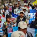 ¿Qué hacer cuando mi ser querido desaparece a mitad de su camino?: Estrategias de búsqueda para personas migrantes desaparecidas en México