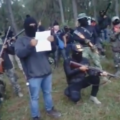 Pobladores de Altamirano recurren a autodefensas armadas para sacudirse cacicazgos Captura de pantalla 2021-10-08 a la(s) 02.22.57