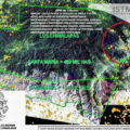 Se han devastado 50 mil hectáreas de selva de Los Chimalapas y todavía no hay Sentencia definitiva de la SCJN; denuncian comuneros y defensores