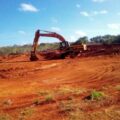 Avanza la deforestación en la Península de Yucatán; crecen granjas de cerdos y minas de tierra