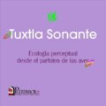 “Tuxtla Sonante”. - Cortesía: Aurora Olivia