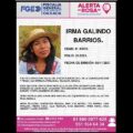 Emiten Alerta Rosa por desaparición de defensora de los bosques en la Mixteca