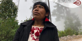 Red de Defensoras piden a fiscalías de Oaxaca y Ciudad de México  no revictimizar a la guardabosques desaparecida, Irma Galindo