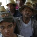 Más de 1.2 millones de trabajadores y trabajadoras agrícolas en México son migrantes que se mueven a lo largo del país en diversas temporadas del año. Cortesía: ECOSUR