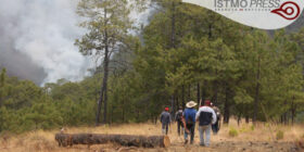 Chimas denuncian dos incendios provocados por chiapanecos en su territorio
