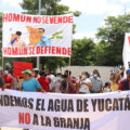 Megagranja de puercos en Homún seguirá cerrada durante juicio.
Foto: Indignación