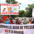 Megagranja de puercos en Homún seguirá cerrada durante juicio.
Foto: Indignación