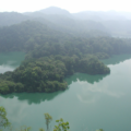 Los lagos tienen una gran variedad de peces, los bosques a los alrededores mantienen grandes poblaciones de aves y animales, mismos que son protegidos por los Lacandones quienes respetan la fauna en peligro de extinción. Cortesía: Asociación Tikal 