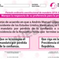 Boleta para el proceso de consulta