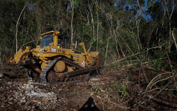 Quien crea que la destrucción de la zona comienza con la contrucción del tren Maya, me temo que no percibe que eso empezó mucho antes con las políticas de desarrollo del turismo y el tipo de turismo masivo