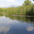 Los humedales de montaña están en riesgo de ser sólo historia. Estos ecosistemas han sido eliminados y degradados por invasiones, asentamientos irregulares y, en especial, por la inacción de autoridades de todos los niveles. Cortesía: COCOSUR