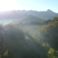 Ubicada entre las montañas que conforman la Sierra Madre del Sur, en el estado de Chiapas, la Reserva de la Biosfera El Triunfo conserva uno de los ecosistemas más ricos en biodiversidad de México: el bosque de niebla. Cortesía: FONCET A. C.
