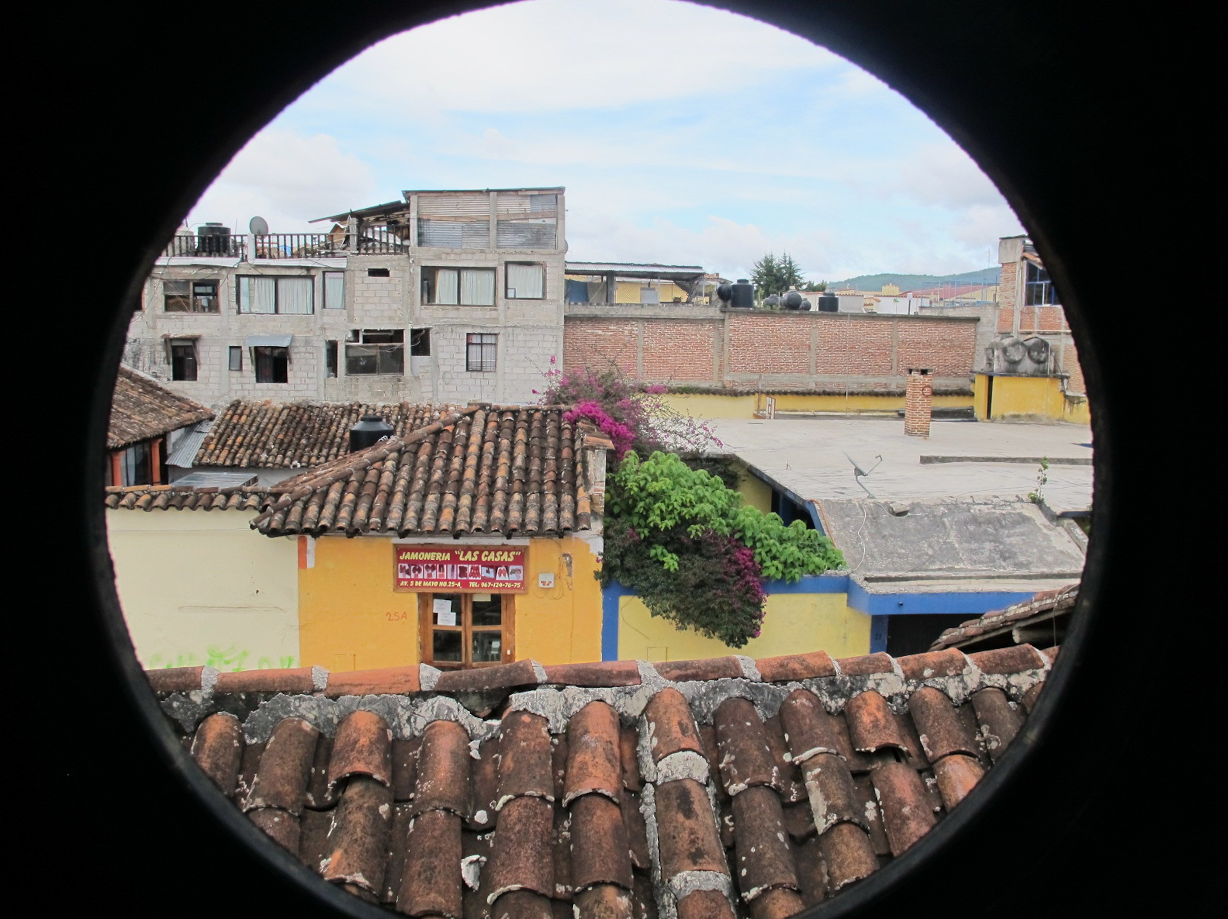 Dentro de sus ventanas favoritas estaban las de casas antiguas. Por su mente pasaban un sin fin de historias cuando hallaba alguna ventana que le deleitara no solo la vista, sino también la imaginación.