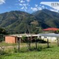 Chimalapas no será Area Natural Protegida-Reseva de Biosfera federal asegura el Comité Nacional para la Defensa y Conservación de los Chimalapas Chimalapas no será Area Natural Protegida-Reseva de Biosfera federal asegura el Comité Nacional para la Defensa y Conservación de los Chimalapas.
Foto: Diana Manzo