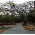 Entrada del Parque del Oriente. Fuente: Elaboración de las invetigadoras