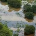 Acto vandálico o intento de ordeña termina en tragedia ambiental.
Foto: Cortesía