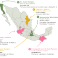 Finalistas del Concurso Mejores Calles para México, realizado por el Instituto de Políticas para el Transporte y el Desarrollo (ITDP). Imagen: Cortesía.