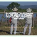 Guardianes del río Verde de Oaxaca triunfaron ante tribunales federales contra decreto de Peña Nieto.
Foto: Página 3