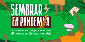 Sembrar en Pandemia