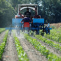 Piden reformar la Ley General de Salud para promover los bioinsumos y sistemas agroecológicos Fertilizantes: desafíos y soluciones para proteger el planeta. Cortesía: UNEP