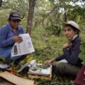 Misión del herbario de la Uagro: preservar la flora de los pueblos originarios.
Foto: José Miguel Sánchez de Amapola