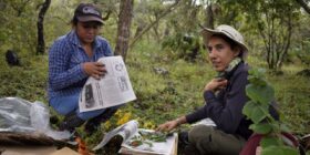 Misión del herbario de la Uagro: preservar la flora de los pueblos originarios.
Foto: José Miguel Sánchez de Amapola