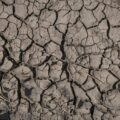 ¿Sequía o saqueo? La crisis de agua en el Valle de Mexicali.
Foto: Heriberto Paredes
