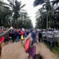 Denuncian desalojo violento en comunidad guatemalteca Chapín Abajo. Imagen: Cortesía.