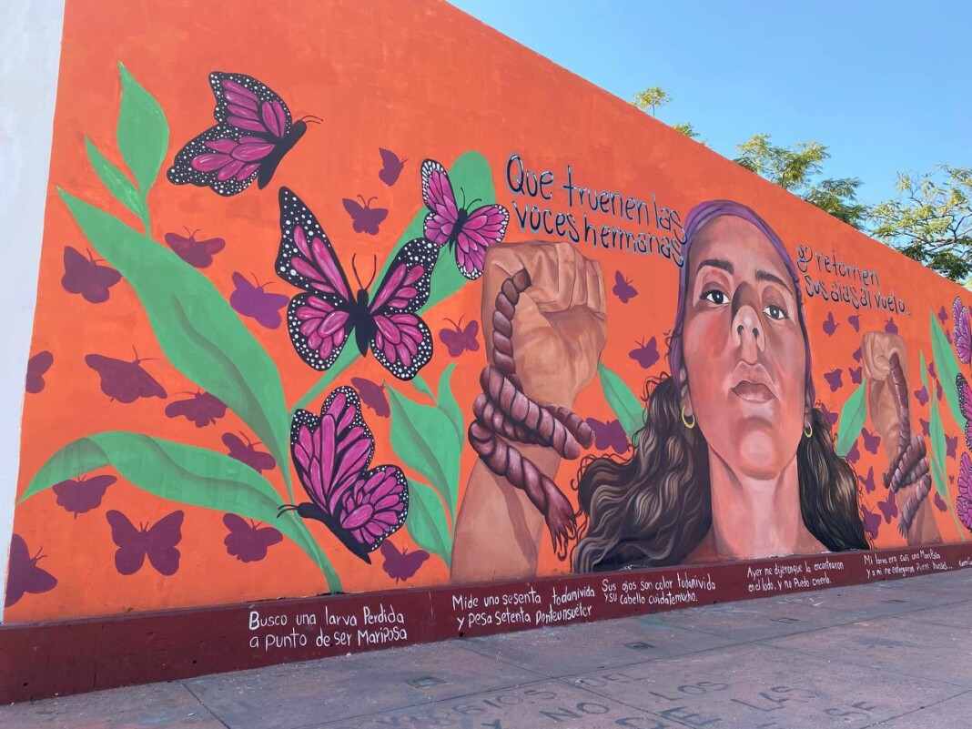 Se puede elegir el nombre que se quiera, pero en esta campaña en particular es fundamental hablar sobre qué van a hacer ellas, las candidatas presidenciales, con el tema/problema de las mujeres. En el actual contexto de violencia estructural, es indispensable un programa para las mujeres.