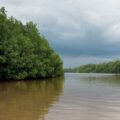 Centros ecoturísticos de la costa de Chiapas. Cortesía: Alfredo Martínez