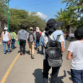 Conteo ciudadano de árboles que serían sacrificados por la obra Circuito Interior Tuxtla. Foto: Ángeles Mariscal