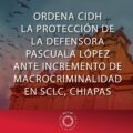 Pascuala López es defensora de la tierra y territorio en su ejido quien tras el asesinato de su hijo comenzó una lucha en búsqueda de justicia y reparación.  Cortesía: Red TDT