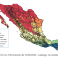 México se caracteriza por su variedad de climas, desde cálido subhúmedo, hasta desértico. Los climas
secos y desérticos se encuentran principalmente en las regiones norte del país, donde las sequías
son un fenómeno común.